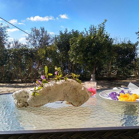 Caza Levantiera Kalamítsi Esterno foto
